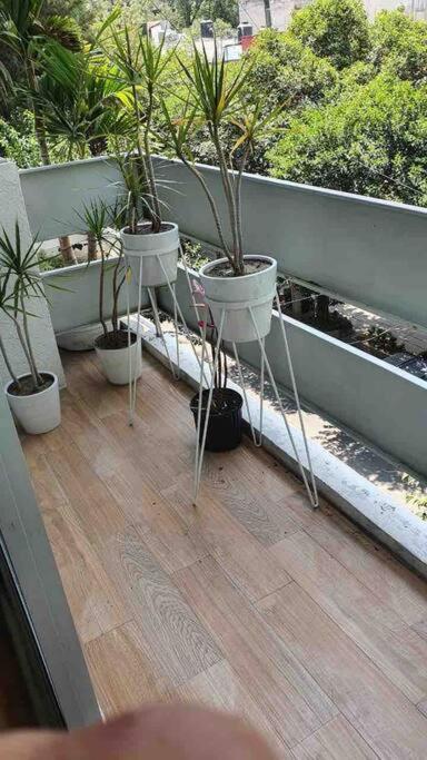 Cozy Apartment In Condesa'S Heart ! Мехико Экстерьер фото
